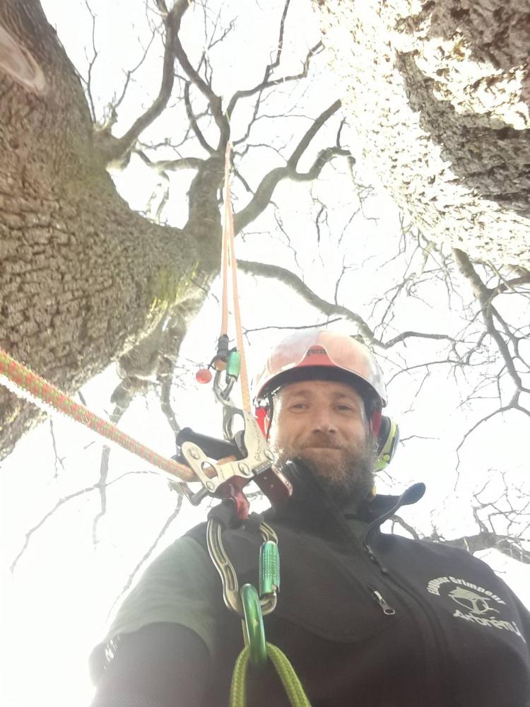 Arbremi EURL (6) Arbremi EURL (6)